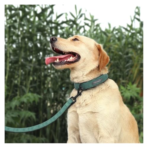 Hundehalsband und Leine aus Leder, personalisierbar, Set mit Halsbändern und Leine für Haustiere, strapazierfähiges Lederhalsband für kleine, mittelgroße und große Hunde(Green Collar,2XL) von HBJzxlOK