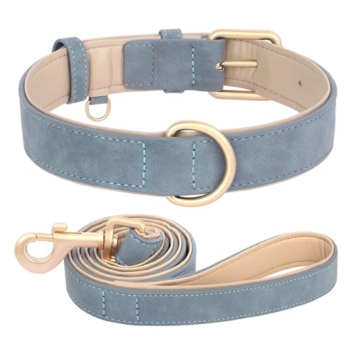 Hundehalsband und Leine im Set aus Leder, weich gepolstert, aus Leder, verstellbare Halskette für kleine, mittelgroße und große Hunde, Pitbull, Mops(Blue Set,L) von HBJzxlOK