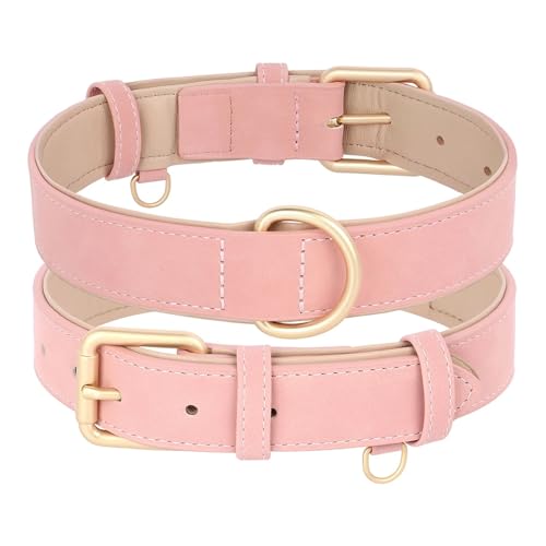 Hundehalsband und Leine im Set aus Leder, weich gepolstert, aus Leder, verstellbare Halskette für kleine, mittelgroße und große Hunde, Pitbull, Mops(Pink Collar Only,M) von HBJzxlOK