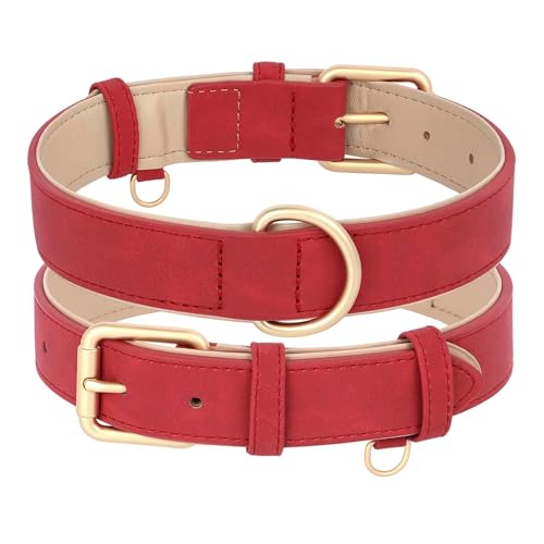 Hundehalsband und Leine im Set aus Leder, weich gepolstert, aus Leder, verstellbare Halskette für kleine, mittelgroße und große Hunde, Pitbull, Mops(Red Collar Only,M) von HBJzxlOK