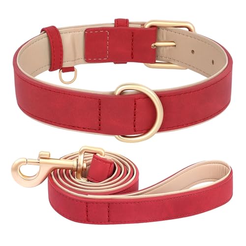 Hundehalsband und Leine im Set aus Leder, weich gepolstert, aus Leder, verstellbare Halskette für kleine, mittelgroße und große Hunde, Pitbull, Mops(Red Set,L) von HBJzxlOK