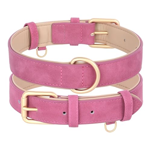 Hundehalsband und Leine im Set aus Leder, weich gepolstert, aus Leder, verstellbare Halskette für kleine, mittelgroße und große Hunde, Pitbull, Mops(Rose Collar Only,M) von HBJzxlOK