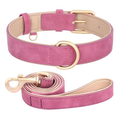 Hundehalsband und Leine im Set aus Leder, weich gepolstert, aus Leder, verstellbare Halskette für kleine, mittelgroße und große Hunde, Pitbull, Mops(Rose Set,L) von HBJzxlOK