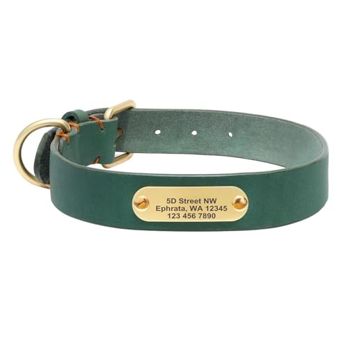 Individuelles Hundehalsband, langlebig, personalisierte Hundehalsbänder, gravierte Halsbänder aus echtem Leder für kleine, mittelgroße und große Hunde(Green 2,XL) von HBJzxlOK