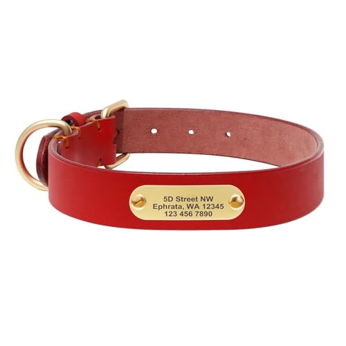 Individuelles Hundehalsband, langlebig, personalisierte Hundehalsbänder, gravierte Halsbänder aus echtem Leder für kleine, mittelgroße und große Hunde(Red 2,2XL) von HBJzxlOK