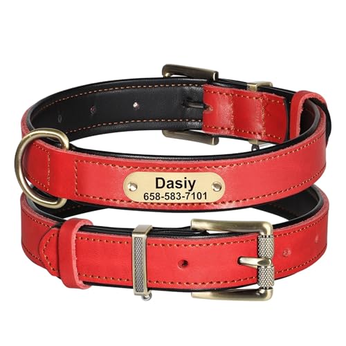 Personalisiertes Hundehalsband aus Leder, Anti-Verlust-Halsband mit Haustiermarke, individuell gravierte Namenskette für kleine und große Pitbull-Hunde(Red 2,XL) von HBJzxlOK