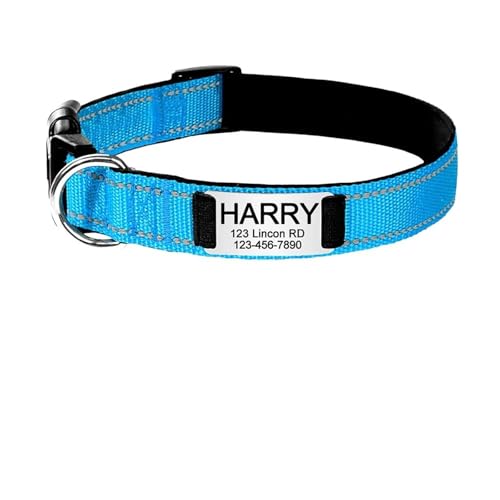 Personalisiertes reflektierendes Hundehalsband mit individueller Gravur, personalisiertes Etikett, großer Name, verstellbare Hunde(Light Blue,L 34-56cm) von HBJzxlOK