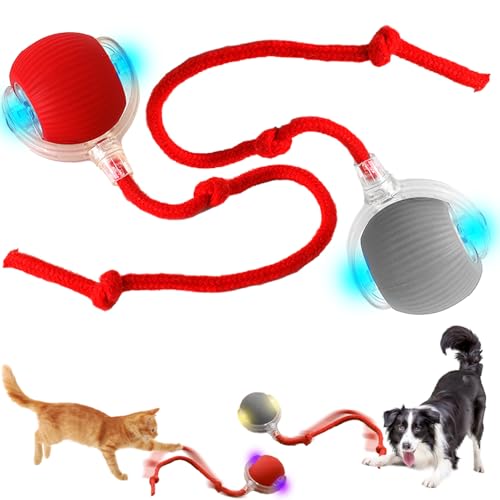 Chewie Rolling Ball, 2pcs Interactive Cat Toys Rolling Ball, Interaktives Katzenspielzeug Katzenball, Smart Automatisch Rollender Ball, Katzenspielzeug Elektrisch mit USB Aufladbar für Katzen Hunde von HBSFBH