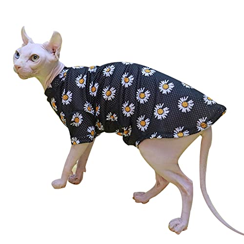 HCCY Sphinx haarlose Katzenkleidung Frühjahr und Sommer Atmungsaktive Weste aus Stretch-Mesh, um Haarausfall zu verhindern,Schwarz,XL von HCCY