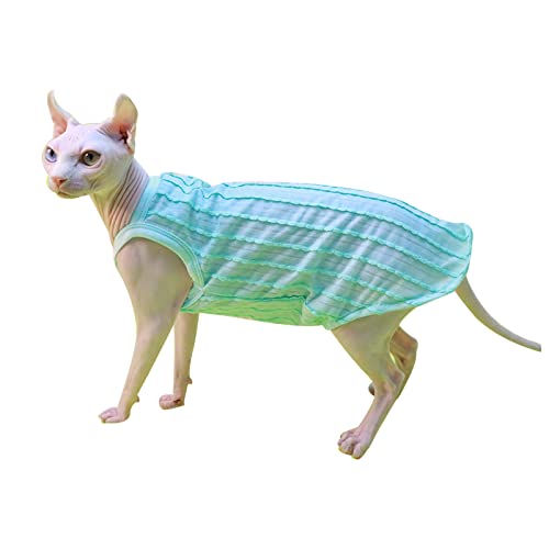 HCCY Sphinx unbehaarte Katze Kleidung Frühling und Sommer Coole Hosenträger Hosenträger Rock Paar Kleidung,grün - Weste,XL von HCCY