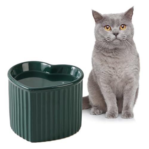 Futternapf Katze Erhöht Wassernapf Katzen - Katzennapf Keramik - Hoher Fressnapf Katze Anti Erbrechen - Katzennäpfe - Katzenschüssel - Katzenfutter Napf - Katzenfressnapf - Trinknapf Katze - 340 ml von HCHLQLZ