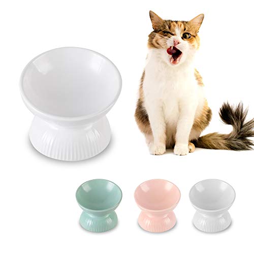 Katzennapf Keramik Futternapf Katze Erhöht - Anti Erbrechen Fressnapf Katze mit 15° Neigung Design - 12,3 cm Katzenfutter Napf Katze Klein - Futternäpfe für Katzen Essen Schale - Katzennäpfe - 125 ml von HCHLQLZ