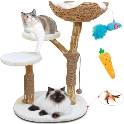 2024 Katzenbaum mit Spielzeug - 94.0 cm Moderner Katzenbaum Turm für Indoor Katzen, Kaffee-Ast Holz Katzenturm, Katzenkratzbaum, Naturholz Katzenbaum - Moderner Katzenturm für große Katze von HD WOOD CRAFT