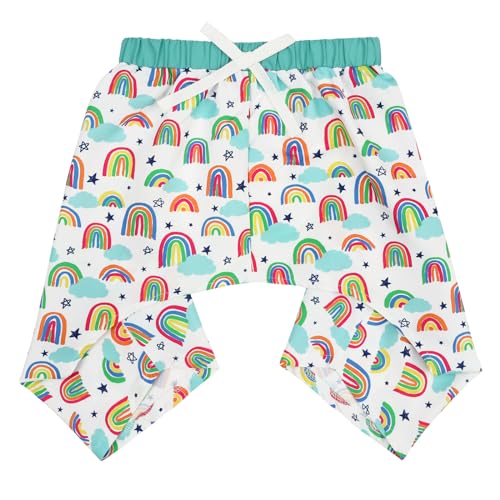 HDE Hunde-Badehose, hawaiianische Board-Shorts, Strand, Pool, Badeanzug für S bis XXL, Regenbögen – XXL von HDE