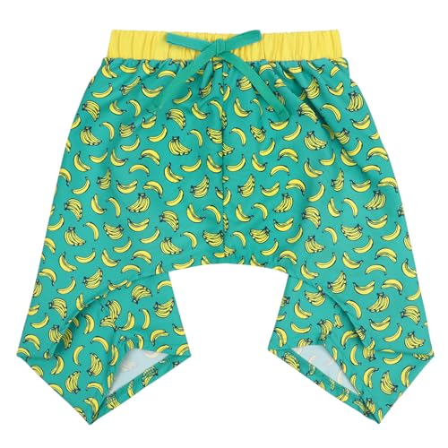 HDE Hunde-Badehose, hawaiianische Boardshorts, Strandpool, Badeanzug für S bis XXL, Bananen – XL von HDE