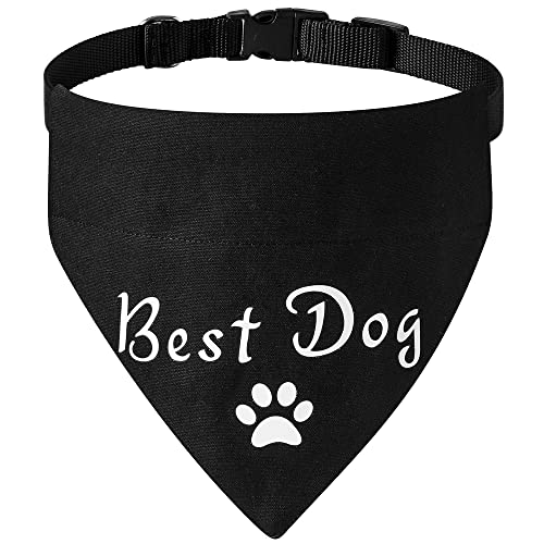 Verlobungsgeschenk, bester Hund, Hochzeit, Halstuch, starker D-Ring für einfache Leine, verstellbares Hundehalsband mit Schnellverschluss-Schnalle für kleine, mittelgroße und große Hunde und Katzen von HDGDT