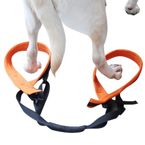 HDKEAN Postoperativer Rehabilitationsgurt für Hunde, für Genesung, Behinderung, Beinbandage, hilft beim Spazierengehen von HDKEAN