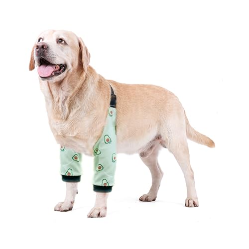 HDKUW Ellenbogenschutz für Hunde, zur Erholung von Hunden, zur Verhinderung von Lecken von Wunden, Gelenkmanschetten mit Netzpolster für mittelgroße und große Hunde, verdickte Avocado, 2XL von HDKUW