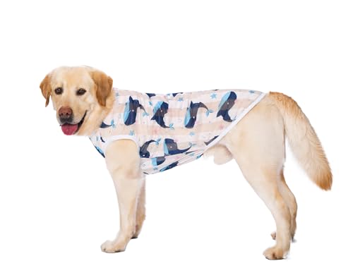 HDKUW Haustierkleidung, Sommer-T-Shirt, kühl, atmungsaktiv, Sonnenschutz, Hundeweste, Kleidung, Outfit für mittelgroße und große Hunde, Weißwal, 6XL von HDKUW