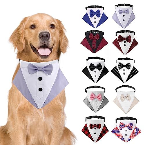 HDKUW Hunde-Smoking, Hochzeits-Banda-Halsband mit Fliege, verstellbares Hunde-Tux, formelle Hundekostüme für kleine, mittelgroße und große Hunde, Lila, L von HDKUW