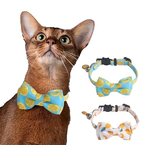 HDKUW Katzenhalsband mit Fliege, Glocke, Sommerfrucht, Katzenhalsband für männliche Frauen, weiche Baumwolle, niedliches Haustierhalsband, ideal für Welpen, Katzen, Mädchen, Jungen, Ananas, Zitrone, 2 von HDKUW