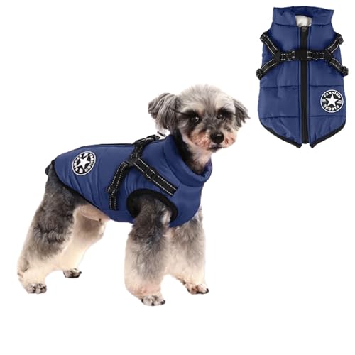 HDKUW Kleine Hundejacke, kleiner Hundemantel, Geschirr, Winter, warme Weste, Jacke, wasserdicht, Baumwolle, Kostüm für Welpen, kleine Hunde (Größe XL, Blau) von HDKUW