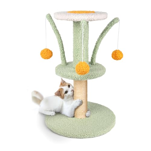 HDLKRR Katzenkratzbaum - Kätzchen Kratzbaum Sisal Kratzbäume mit 3 Federball, Katzenkratzer für Indoor Katzen, Kätzchen oder Kleinere Katzen (Minzgrün) von HDLKRR