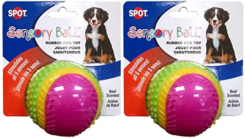 HDP Spot Sensory Hundespielzeug aus Gummi, Größe: 8,3 cm, 2 Stück von HDP