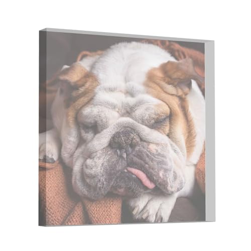 Englische Bulldoggen Maulkorb Haustiere Schlafende Hunde, Quadratische Acryldekorationen, bedruckte Acryltafel, Andenken für Damen, Männer und Frauen von HDTVTV