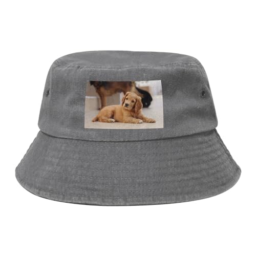 HDTVTV Cocker Spaniel Welpe Kleine Spaniel Hunde Haustiere, Bucket Hat Sonnenhut Erwachsene Fischerhut Läufermütze Fischerhüte von HDTVTV