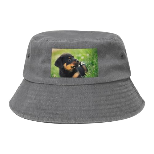 HDTVTV Hund Rottweiler Süß Tiere Tier Welpe, Bucket Hat Sonnenhut Erwachsene Fischerhut Läufermütze Fischerhüte von HDTVTV