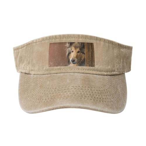 Langhaarcollie, Lassie-Hunde, große, Flauschige Hunde, Haustiere, Verstellbare Leere Baseballkappe, Sport-Sonnenblendenhüte, Unisex-Sonnenschutz-Schirmkappe von HDTVTV