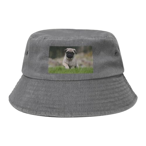 Mops Bokeh Welpen Hunde Rasen Haustiere Mops, Bucket Hat Sonnenhut Erwachsene Fischerhut Läufermütze Fischerhüte von HDTVTV