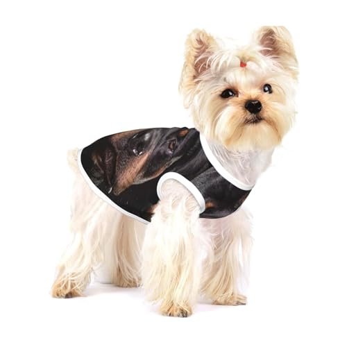 Rottweiler – liebevoll, selbstbewusst und treu,Ärmelloses Haustier-T-Shirt aus Baumwolle, weich, dehnbar, atmungsaktive Weste für Welpen,S Rottweiler – liebevoll, selbstbewusst und treu,Ärmelloses Haustier-T-Shirt aus Baumwolle, weich, dehnbar, atmungsaktive Weste für Welpen,S von HDTVTV