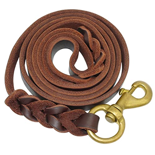 Hundeleine Geflochtener Lederhund -Leinen Haustier Trainieren Leine Blei for mittlere große Hunde Hunde Traini Haustier Leinen (Color : Brown, Size : 16mm x 170cm) von HEBBES