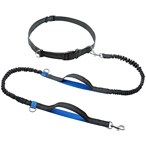 Hundeleine Hunde -Leine Einziehbares Bungee -Leine -Blei Reflektiert, DASS er bis zu 150 Pfund großer Hunde Bagspender Laufen läuft Haustier Leinen (Color : Blue, Size : A) von HEBBES