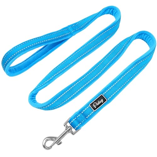 Hundeleine Hundeleine weiche Nylon gepolsterte Haustier Hunde Bleigürtel reflektierendes Walking -Lauf -Hund -Leinen Seil for kleine große Hunde Haustier Leinen (Color : Blue, Size : BS) von HEBBES