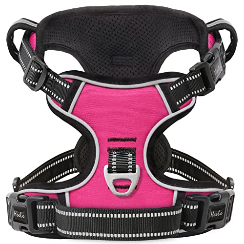 HEELE Hundegeschirr ohne Zug, Brustgeschirr für kleine Hund, einstellbares reflektierendes Hunde Geschirr, atmungsaktive Hundegeschirre mit gepolstertem Griff, No-Pull Dog Harness, Fuchsie, XS von HEELE