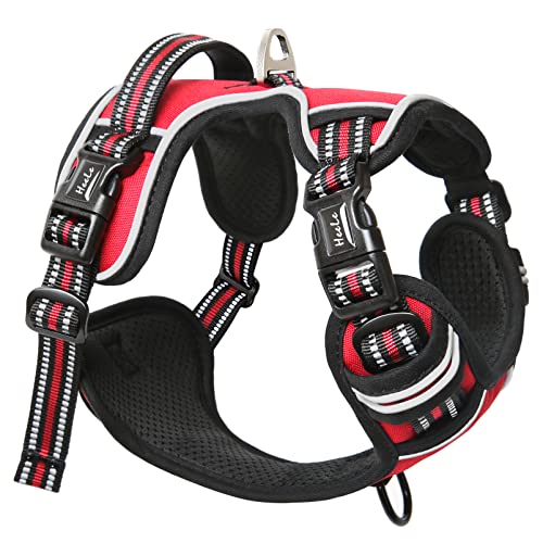 HEELE Hundegeschirr ohne Zug, Brustgeschirr für kleine Hund, einstellbares reflektierendes Hunde Geschirr, atmungsaktive Hundegeschirre mit gepolstertem Griff, No-Pull Dog Harness, Rot, XS von HEELE