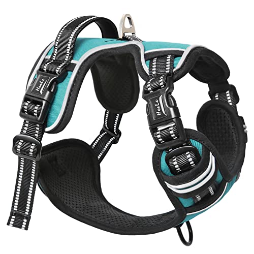 HEELE Hundegeschirr ohne Zug, Brustgeschirr für große Hund, einstellbares reflektierendes Hunde Geschirr, atmungsaktive Hundegeschirre mit gepolstertem Griff, No-Pull Dog Harness, Türkis, XL von HEELE