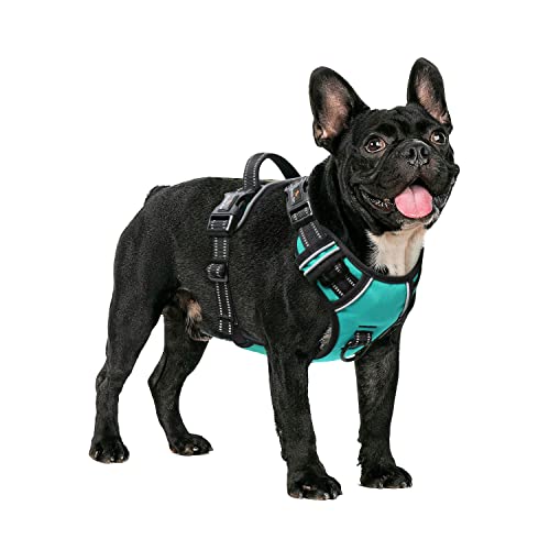 HEELE Hundegeschirr ohne Zug, Brustgeschirr für mittel Hund, einstellbares reflektierendes Hunde Geschirr, atmungsaktive Hundegeschirre mit gepolstertem Griff, No-Pull Dog Harness, Türkis, M von HEELE