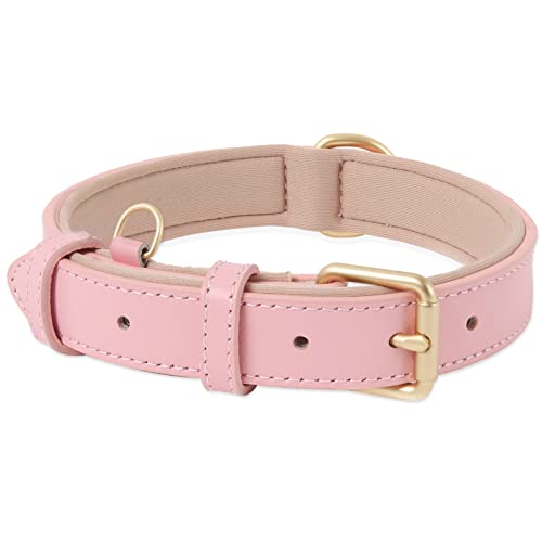 HEELE Hundehalsband, Hundehalsband Leder Hundehalsband mit Gepolstert und Echtes Leder, Verstellbar, Halsband für Große Hunde, Rosa, L von HEELE