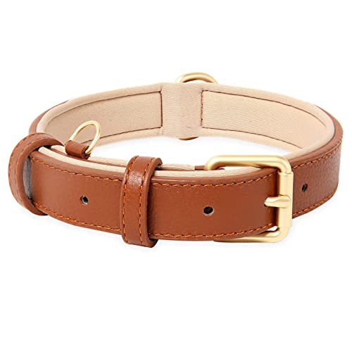 HEELE Hundehalsband, Hundehalsband Leder Hundehalsband mit gepolstert und echtes Leder, Verstellbar, Halsband für Welpen Kleine Mittel Große Hunde, Neu-Braun, L von HEELE