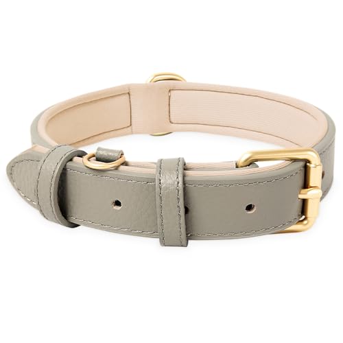 HEELE Hundehalsband, Hundehalsband Leder Hundehalsband mit gepolstert und echtes Leder, Verstellbar, Halsband für Welpen Kleine Mittel Große Hunde, Neu-Grau, L von HEELE