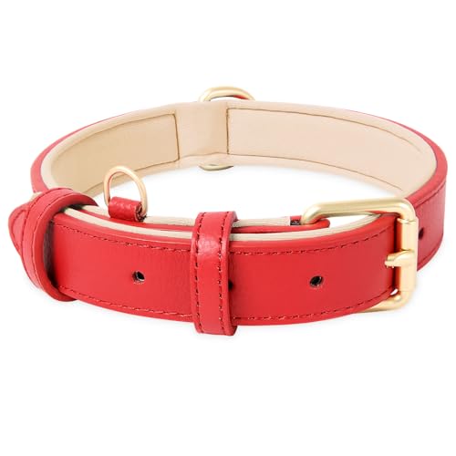 HEELE Hundehalsband, Hundehalsband Leder Hundehalsband mit gepolstert und echtes Leder, Verstellbar, Halsband für Welpen Kleine Mittel Große Hunde, Neu-Rot, L von HEELE