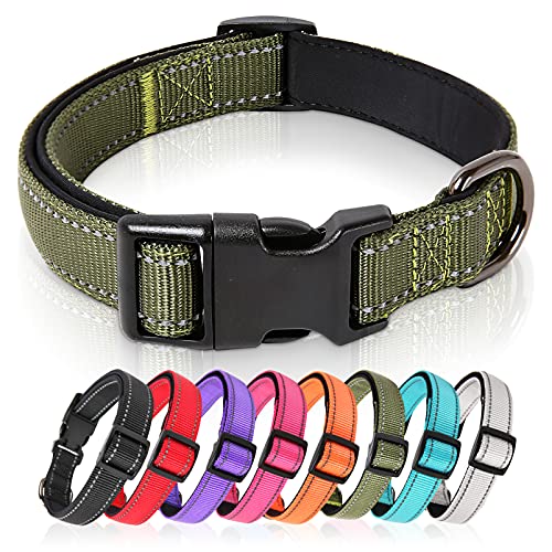 HEELE Hundehalsband, Hundehalsband aus Nylon, Reflektierend Halsband Hund mit Weich Neopren Gepolstert für Welpen Kleine Mittel Große Hunde Läng Einstellbereich 40-66 cm, Grün, L von HEELE