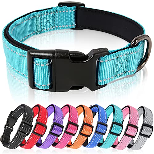 HEELE Hundehalsband, Hundehalsband aus Nylon, Reflektierend Halsband Hund mit Weich Neopren Gepolstert für Welpen Kleine Mittel Große Hunde Läng Einstellbereich 26-38cm, Himmelblau, S von HEELE