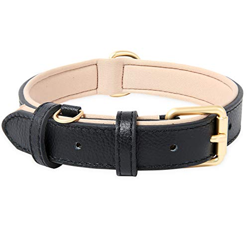 HEELE Hundehalsband, Hundehalsband Leder Hundehalsband mit gepolstert und echtes Leder, Verstellbar, Halsband für Welpen Kleine Mittel Große Hunde, Schwarz, L von HEELE