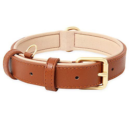 HEELE Hundehalsband, Hundehalsband Leder Hundehalsband mit gepolstert und echtes Leder, Verstellbar, Halsband für Welpen Kleine Mittel Große Hunde, Braun, M von HEELE