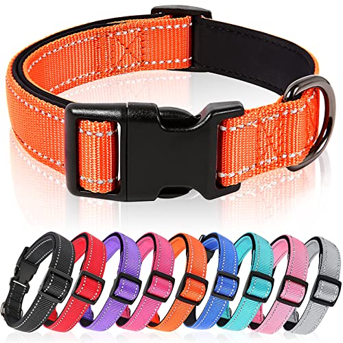 HEELE Hundehalsband, weich gepolstertes Neopren Nylon Hunde Halsband für kleine mittlere große Hunde und Welpen, verstellbare und reflektierende Halsband Hund für Training, Orange, S von HEELE